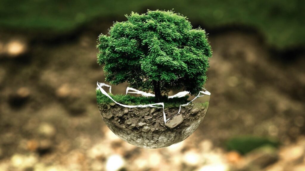 Natura